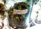 linsanityweed-300x300