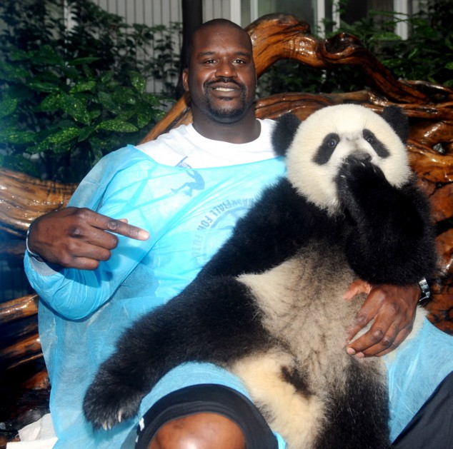 Shaq-holding-a-panda-634x629