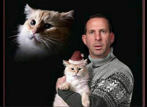Pelini Cat