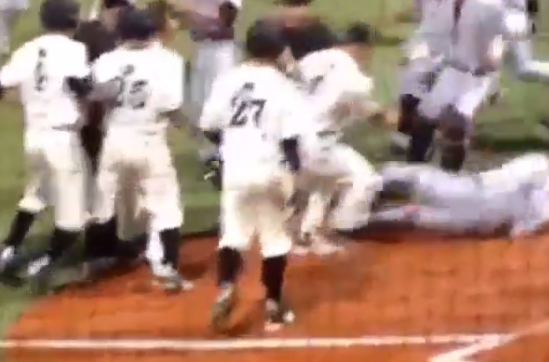 baseball brawl