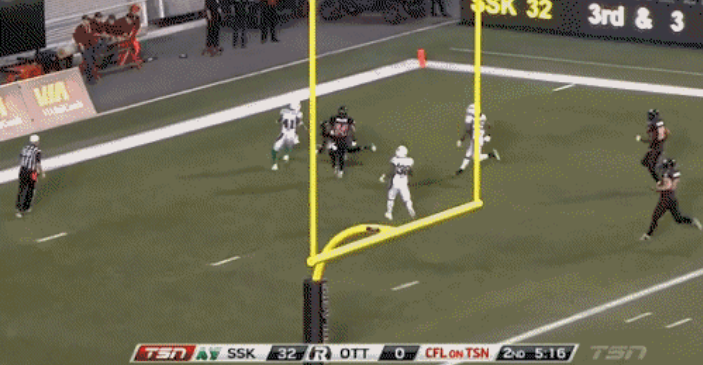 CFL Punt TD