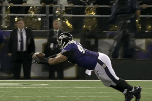 Haloti Ngata