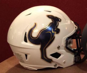Akron Zips