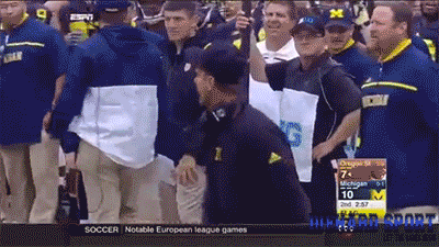 Harbaugh-tirade-pissed-punt-penalty