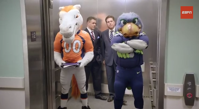 Seahawks Broncos Mascots