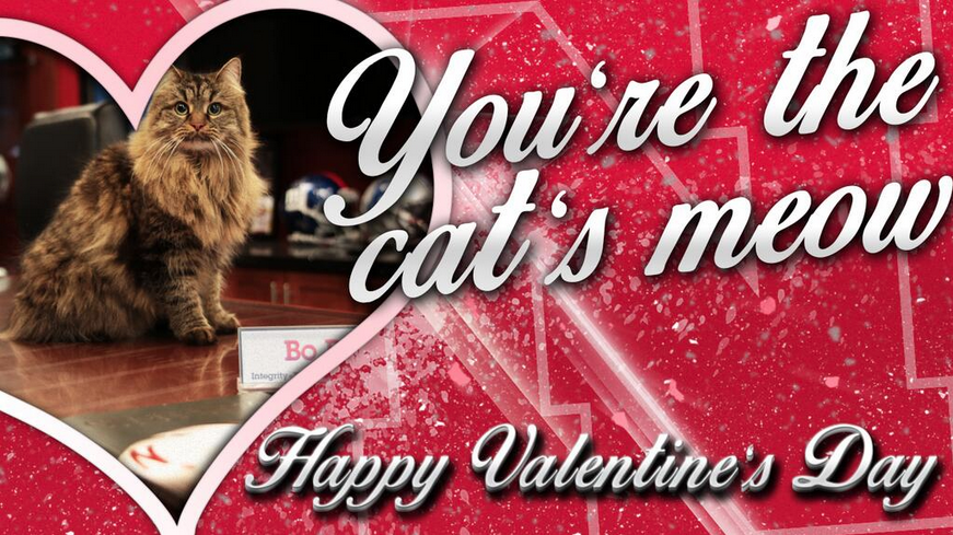 Huskers Valentines Photo